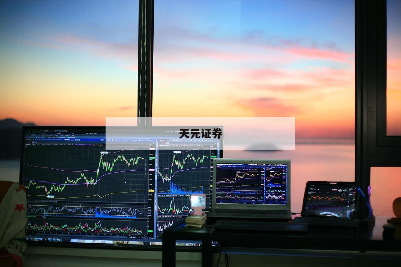 深度分析：配资网的优势与风险评估
